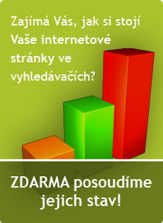 Audit webu zdarma