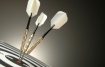 Seminář Google AdWords: Finding Your Audience - Targeting Ads By Topic